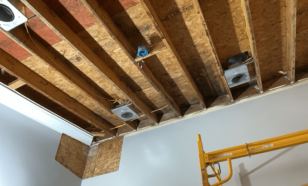 Mold Remediation Service in Signal Mountain Tennessee Home